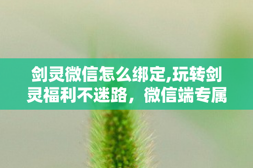 剑灵微信怎么绑定,玩转剑灵福利不迷路，微信端专属礼包全攻略