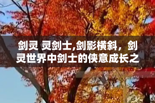 剑灵 灵剑士,剑影横斜,剑灵世界中剑士的侠意成长之旅 剑灵 灵剑士,剑影横斜,剑灵世界中剑士的侠意成长之旅