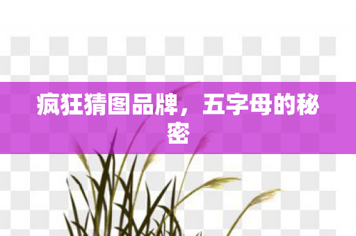 疯狂猜图品牌图片
