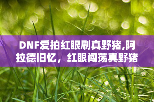DNF爱拍红眼刷真野猪,阿拉德旧忆,红眼闯荡真野猪的热血开荒往事 DNF爱拍红眼刷真野猪,阿拉德旧忆,红眼闯荡真野猪的热血开荒往事