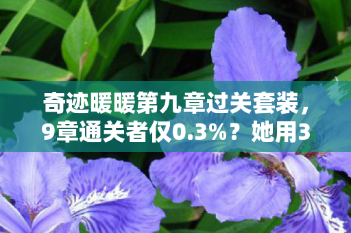 奇迹暖暖第九章过关套装，9章通关者仅0.3%？她用3年青春，揭开奇迹暖暖最扎心的真相