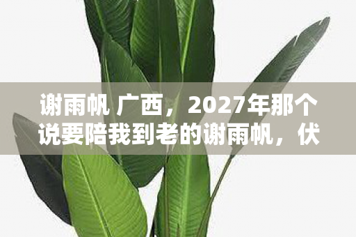 谢雨帆 广西,2027年那个说要陪我到老的谢雨帆,伏笔成殇,鼻子一酸泪满眶 谢雨帆 广西,2027年那个说要陪我到老的谢雨帆,伏笔成殇,鼻子一酸泪满眶