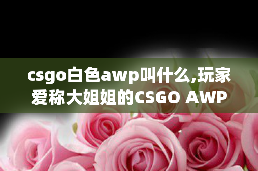csgo白色awp叫什么,玩家爱称大姐姐的CSGO AWP黑色魅影 全档位价格参考指南