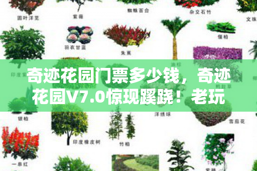 奇迹花园门票多少钱，奇迹花园V7.0惊现蹊跷！老玩家集体泪目，这波更新太上头！