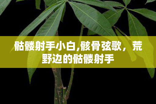 骷髅射手小白,骸骨弦歌,荒野边的骷髅射手 骷髅射手小白,骸骨弦歌,荒野边的骷髅射手