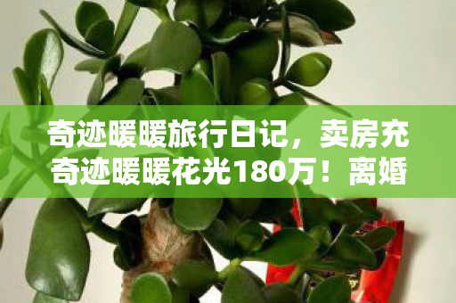 奇迹暖暖旅行日记，卖房充奇迹暖暖花光180万！离婚协议藏惊天隐情，妻子吓到发抖