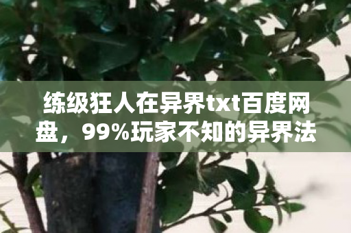 练级狂人在异界txt百度网盘,99%玩家不知的异界法则,当狂喜撞碎现实,谁在深渊里微笑? 练级狂人在异界txt百度网盘,99%玩家不知的异界法则,当狂喜撞碎现实,谁在深渊里微笑?