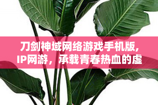 刀剑神域网络游戏手机版,IP网游，承载青春热血的虚拟冒险乐园