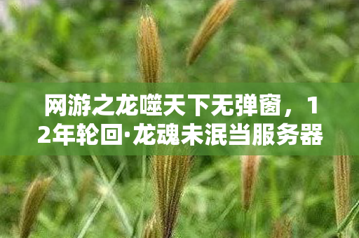 网游之龙噬天下无弹窗,12年轮回·龙魂未泯当服务器关闭倒计时撞碎千万玩家的泪目青春 网游之龙噬天下无弹窗,12年轮回·龙魂未泯当服务器关闭倒计时撞碎千万玩家的泪目青春