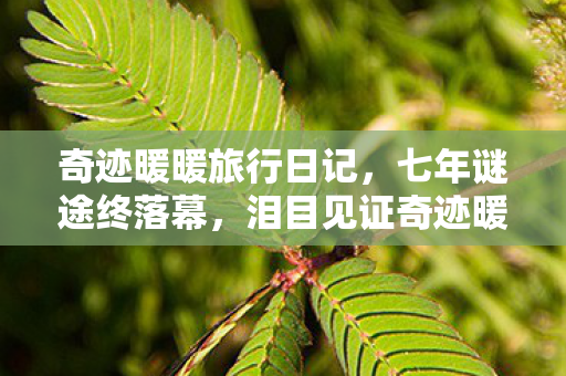奇迹暖暖旅行日记，七年谜途终落幕，泪目见证奇迹暖暖的星火熄灭