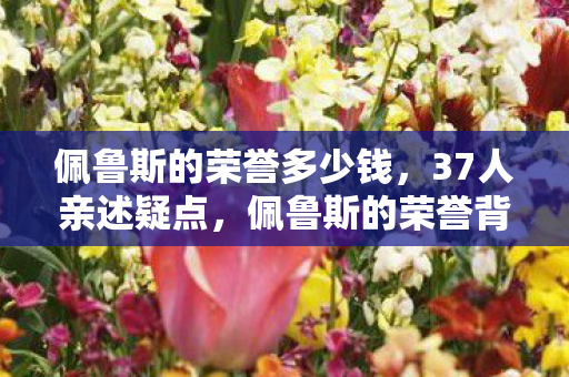 佩鲁斯的荣誉多少钱,37人亲述疑点,佩鲁斯的荣誉背后,谁在网吧绷不住泪崩? 佩鲁斯的荣誉多少钱,37人亲述疑点,佩鲁斯的荣誉背后,谁在网吧绷不住泪崩?