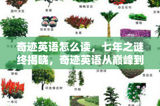 奇迹英语怎么读，七年之谜终揭晓，奇迹英语从巅峰到落幕，泪目谢幕！