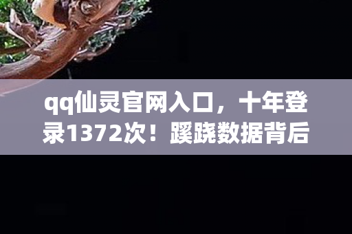 qq仙灵官网入口，十年登录1372次！蹊跷数据背后，后背发凉的逃亡真相
