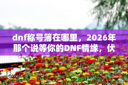 dnf称号簿在哪里，2026年那个说等你的DNF情缘，伏笔揭开时我鼻子一酸