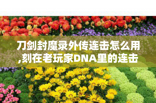 刀剑封魔录外传连击怎么用,刻在老玩家DNA里的连击武侠爽感