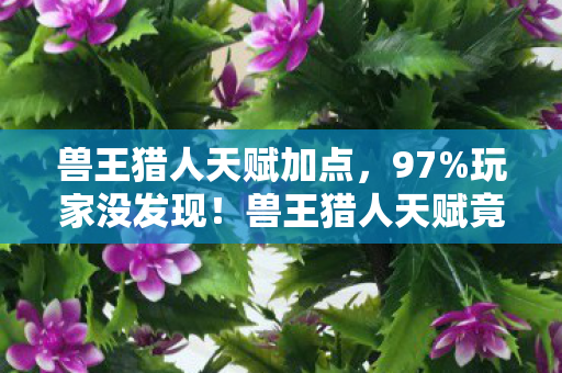 兽王猎人天赋加点,97%玩家没发现!兽王猎人天赋竟在主机端废了? 兽王猎人天赋加点,97%玩家没发现!兽王猎人天赋竟在主机端废了?
