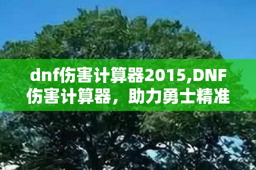 dnf伤害计算器2015,DNF伤害计算器,助力勇士精准配装,告别刷图试错成本 dnf伤害计算器2015,DNF伤害计算器,助力勇士精准配装,告别刷图试错成本