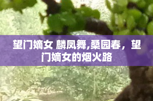 望门嫡女 麟凤舞,桑园春,望门嫡女的烟火路 望门嫡女 麟凤舞,桑园春,望门嫡女的烟火路