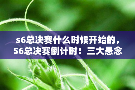 s6总决赛什么时候开始的,S6总决赛倒计时!三大悬念引爆,谁能改写电竞史? s6总决赛什么时候开始的,S6总决赛倒计时!三大悬念引爆,谁能改写电竞史?