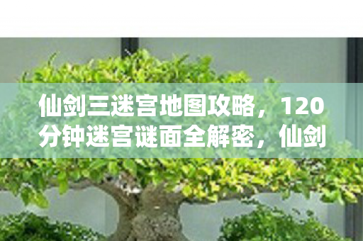 仙剑三迷宫地图攻略，120分钟迷宫谜面全解密，仙剑三玩家泪目，那些永远困在2026的魂