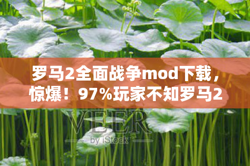 罗马2全面战争mod下载,惊爆!97%玩家不知罗马2全面战争,手游/端游/主机操控竟差这么多? 罗马2全面战争mod下载,惊爆!97%玩家不知罗马2全面战争,手游/端游/主机操控竟差这么多?