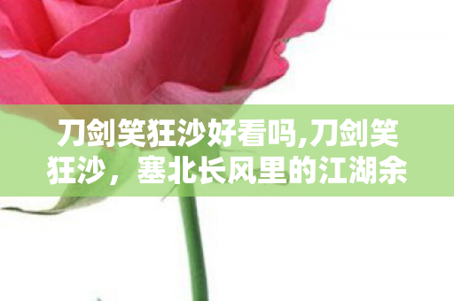 刀剑笑狂沙好看吗,刀剑笑狂沙，塞北长风里的江湖余味