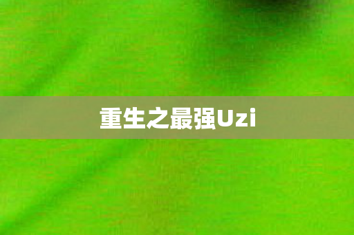 重生之最强Uzi图片