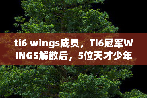 ti6 wings成员,TI6冠军WINGS解散后,5位天才少年如今何去何从?背后心酸谁人知! ti6 wings成员,TI6冠军WINGS解散后,5位天才少年如今何去何从?背后心酸谁人知!