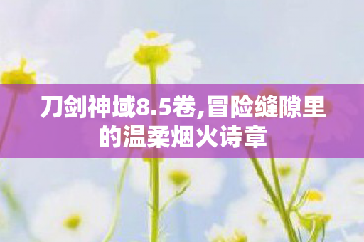 刀剑神域8.5卷,冒险缝隙里的温柔烟火诗章
