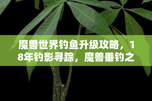 魔兽世界钓鱼升级攻略，18年钓影寻踪，魔兽垂钓之谜，泪目终章待解