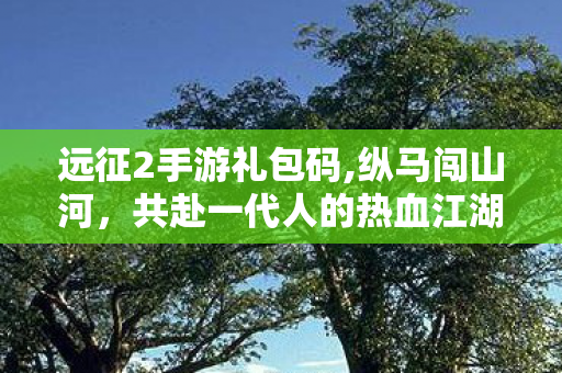 远征2手游礼包码,纵马闯山河，共赴一代人的热血江湖之约