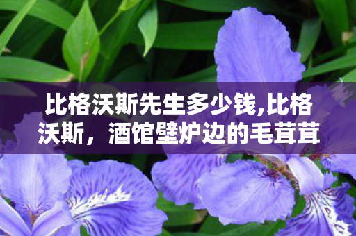 比格沃斯先生多少钱,比格沃斯,酒馆壁炉边的毛茸茸老伙计 比格沃斯先生多少钱,比格沃斯,酒馆壁炉边的毛茸茸老伙计