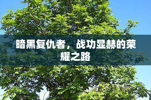 战功显赫的荣耀之路图片
