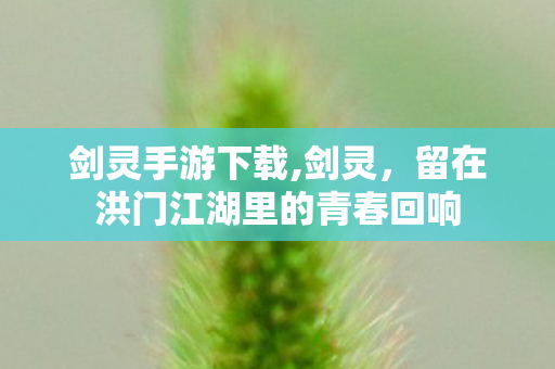 剑灵手游下载,剑灵，留在洪门江湖里的青春回响