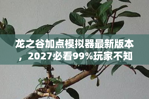 龙之谷加点模拟器最新版本，2027必看99%玩家不知道的加点模拟器隐藏机制！手残党逆袭实测心得