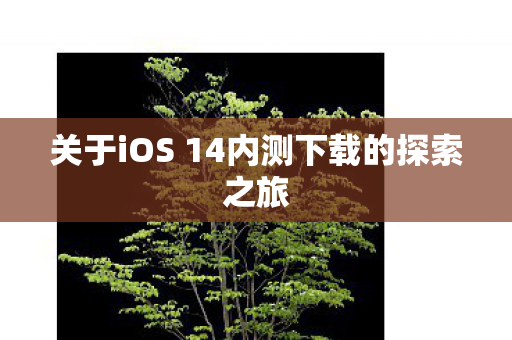 关于iOS 14内测下载的探索之旅图片