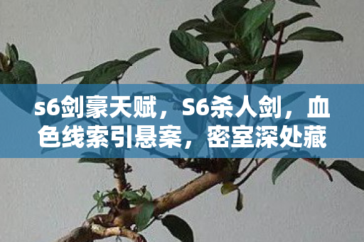 s6剑豪天赋，S6杀人剑，血色线索引悬案，密室深处藏毛骨悚然真相