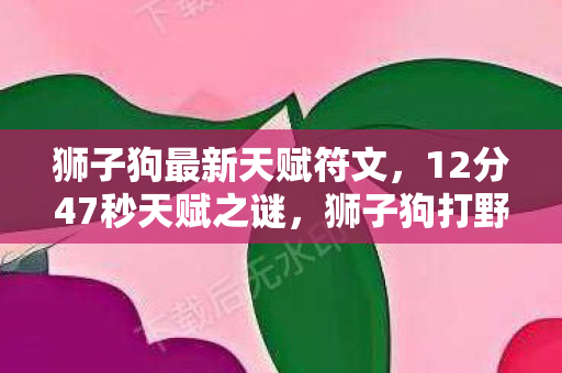 狮子狗最新天赋符文，12分47秒天赋之谜，狮子狗打野的史诗级进化泪目史