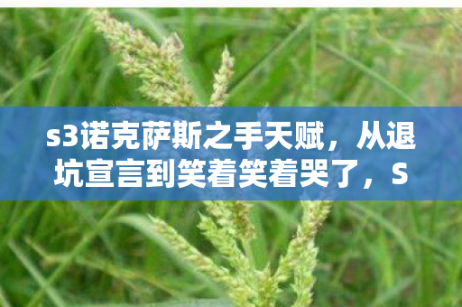 s3诺克萨斯之手天赋,从退坑宣言到笑着笑着哭了,S6诺手天赋背后的落差真相 s3诺克萨斯之手天赋,从退坑宣言到笑着笑着哭了,S6诺手天赋背后的落差真相