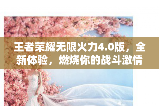 王者荣耀无限火力4图片