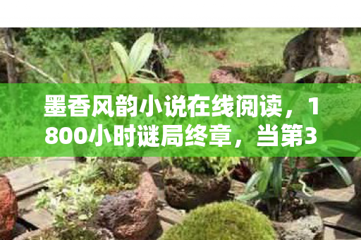 墨香风韵小说在线阅读，1800小时谜局终章，当第37具玩家遗骸在服务器里睁开眼