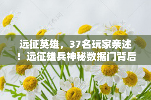 远征英雄,37名玩家亲述!远征雄兵神秘数据门背后,老玩家集体绷不住了 远征英雄,37名玩家亲述!远征雄兵神秘数据门背后,老玩家集体绷不住了