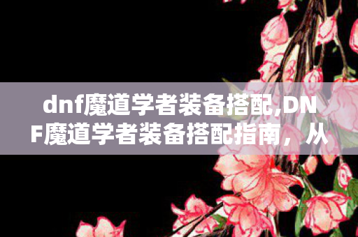 dnf魔道学者装备搭配,DNF魔道学者装备搭配指南，从入门到毕业的趣味养成思路