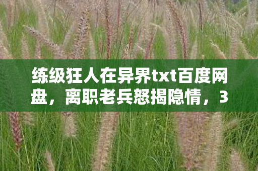 练级狂人在异界txt百度网盘，离职老兵怒揭隐情，300万练级方案竟藏致命漏洞，吓一跳！