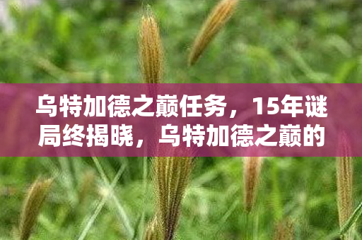 乌特加德之巅任务,15年谜局终揭晓,乌特加德之巅的冰封之泪 乌特加德之巅任务,15年谜局终揭晓,乌特加德之巅的冰封之泪