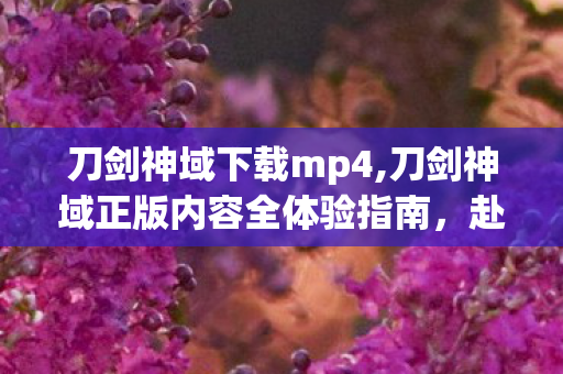 刀剑神域下载mp4,刀剑神域正版内容全体验指南,赴一场跨越十年的潜行之约 刀剑神域下载mp4,刀剑神域正版内容全体验指南,赴一场跨越十年的潜行之约