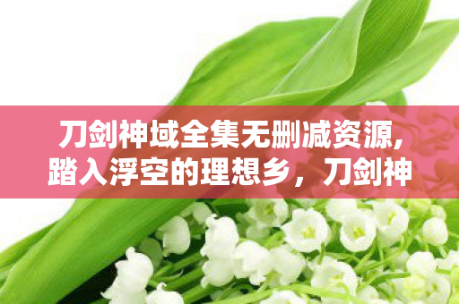 刀剑神域全集无删减资源,踏入浮空的理想乡,刀剑神域系列的逐梦之旅 刀剑神域全集无删减资源,踏入浮空的理想乡,刀剑神域系列的逐梦之旅