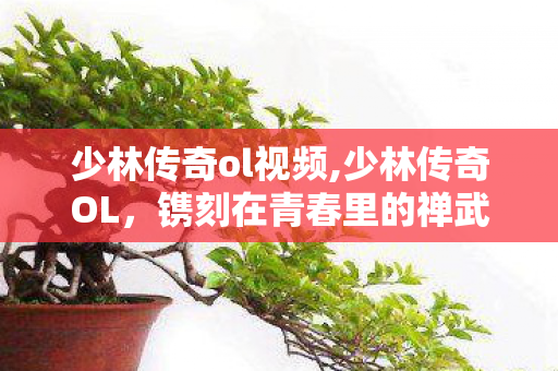 少林传奇ol视频,少林传奇OL,镌刻在青春里的禅武江湖旧梦 少林传奇ol视频,少林传奇OL,镌刻在青春里的禅武江湖旧梦
