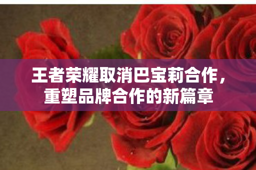 王者荣耀取消巴宝莉合作图片