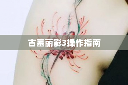 古墓丽影3操作指南图片